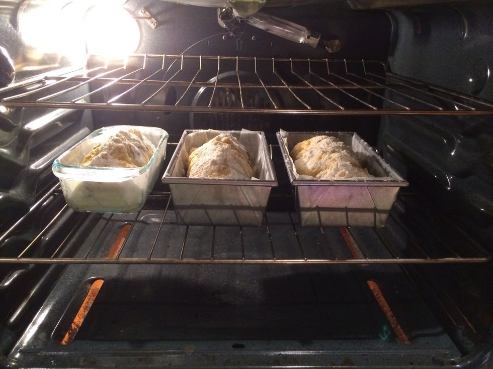 Bake the loaves at 350\u00b0 Fahrenheit for 55 minutes, rotating halfway through, until golden brown.