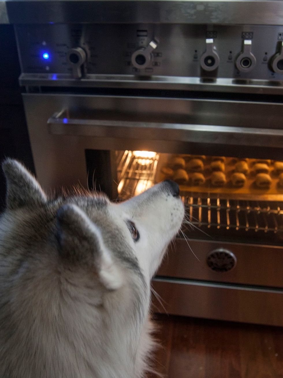 Bake them for about 25 minutes. Ah, the siren smell of bacon.... It seems that this is what oven windows were made for.