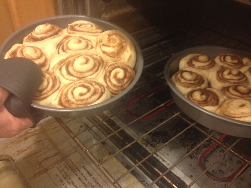Bake your well rested rolls for 20 minutes.