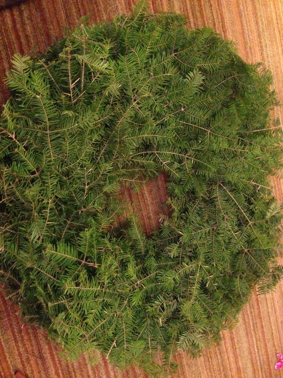 Bare balsam wreath.