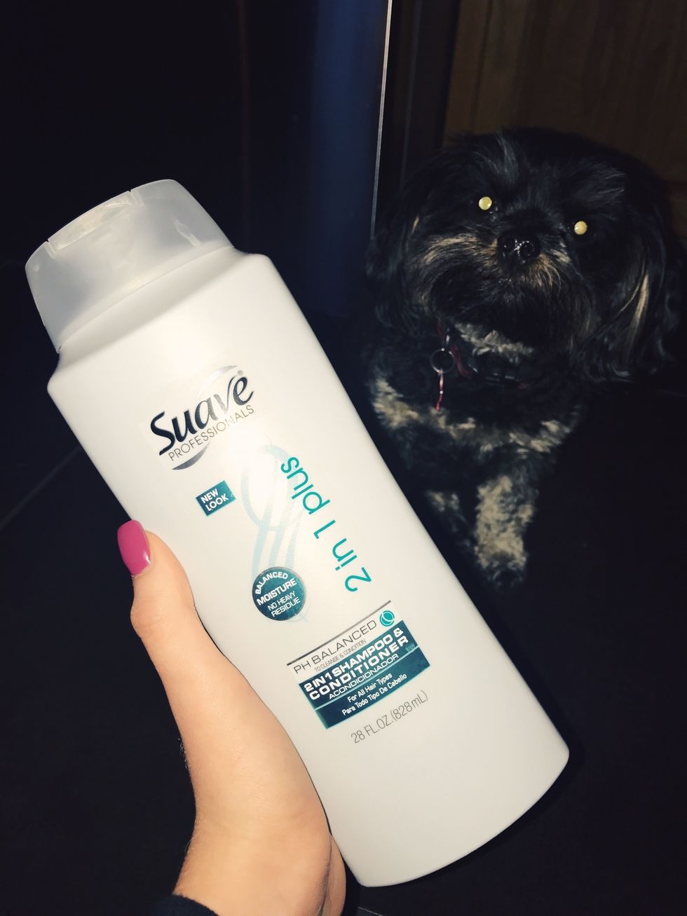 Bath time! Make sure to have shampoo and conditioner for your dog. Don't forget the towel to dry with afterwards!