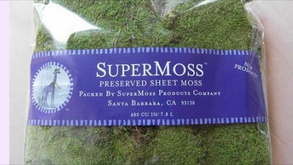 Bay a grass and but it inside the lamp .