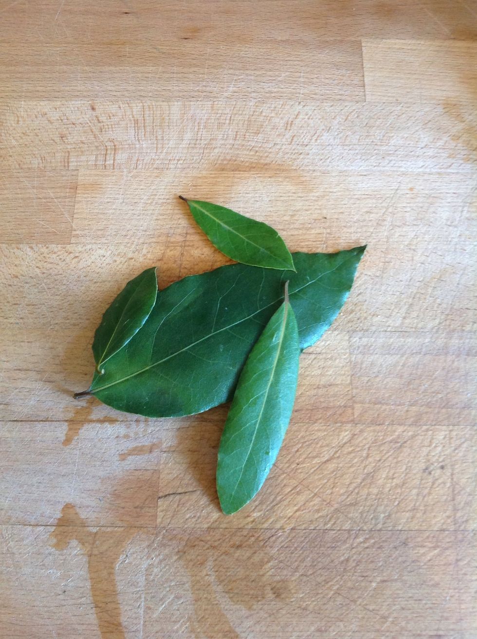 Bayleaves