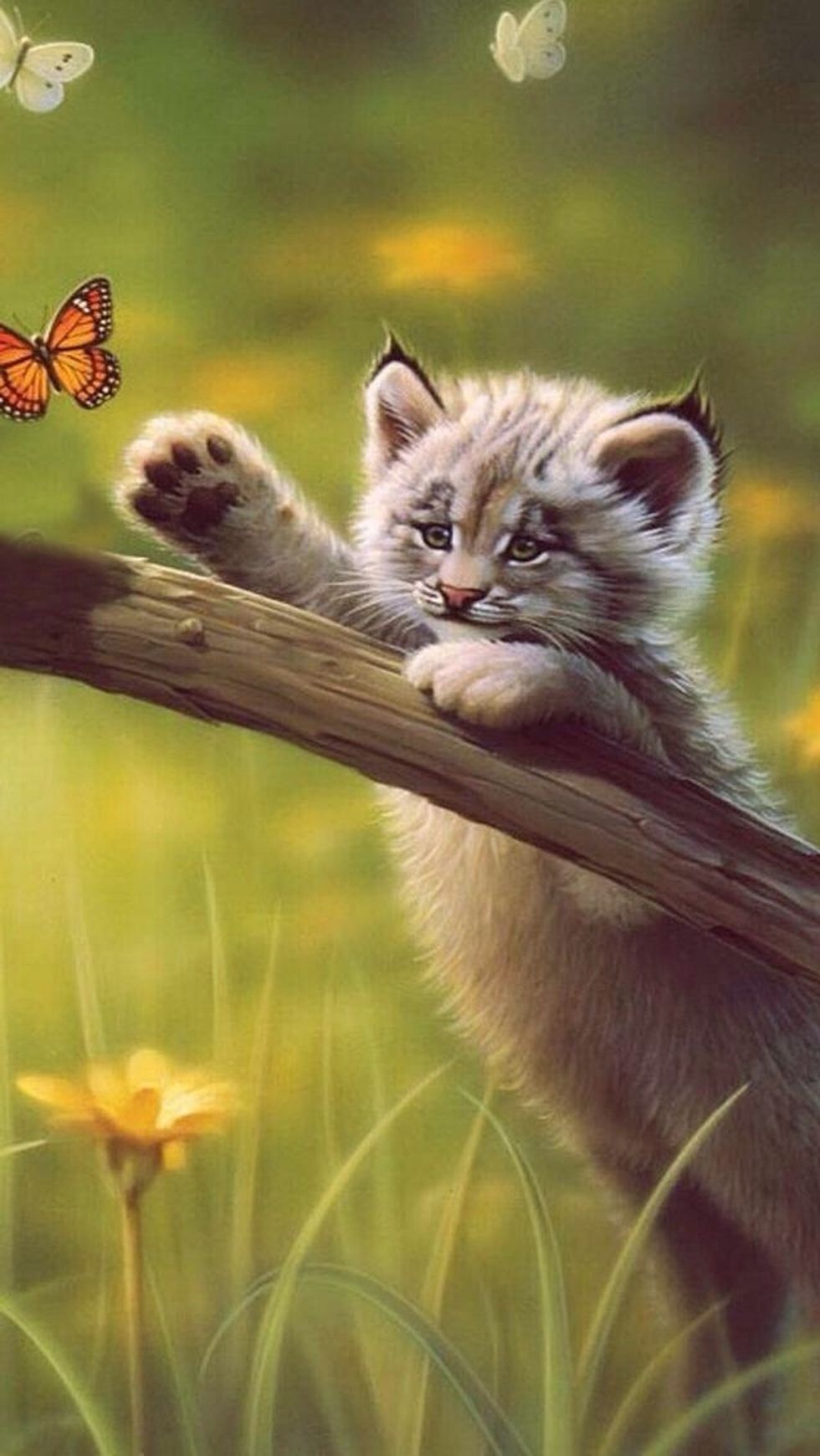 Be lovable and huggable