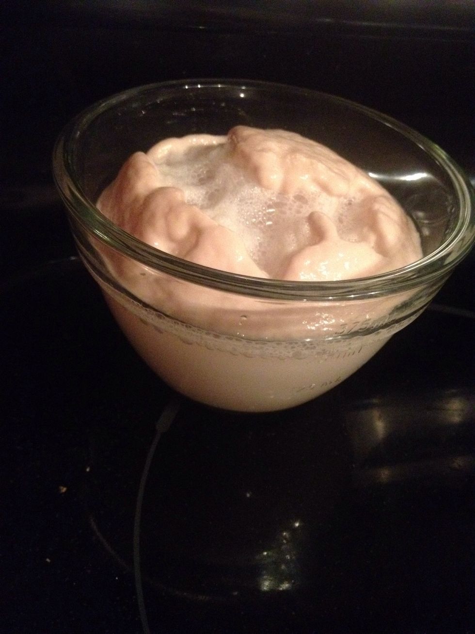 Be sure the bowl is big enough to allow for some expansion.