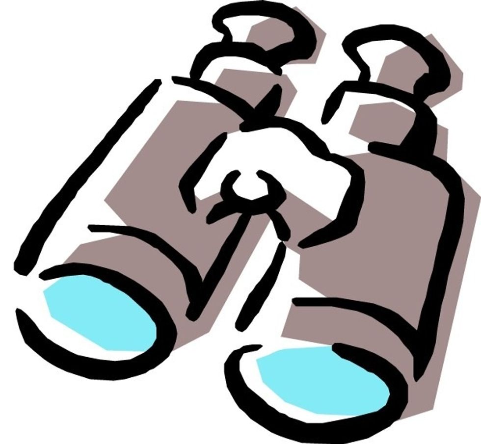 Be sure to explore the selection. What new ideas have you found. What new perspective did you find.