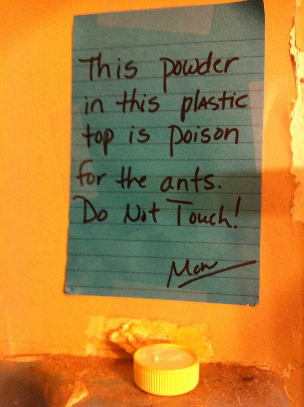 Be sure to place a sign so family knows not to disturb: the poison or the ants! It's okay the ants can't read. \ud83d\ude04 It's tempting to clean where you place the poison. DO NOT, ants will be warned.