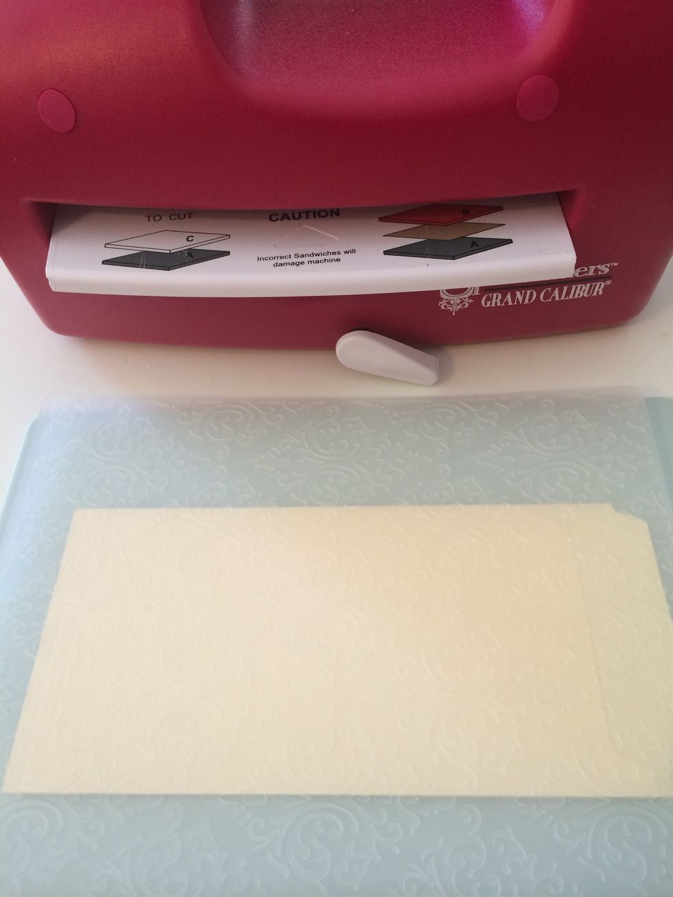 ***be sure to use the Grand Raspberry Adapter plate with Craftwell embossing folders