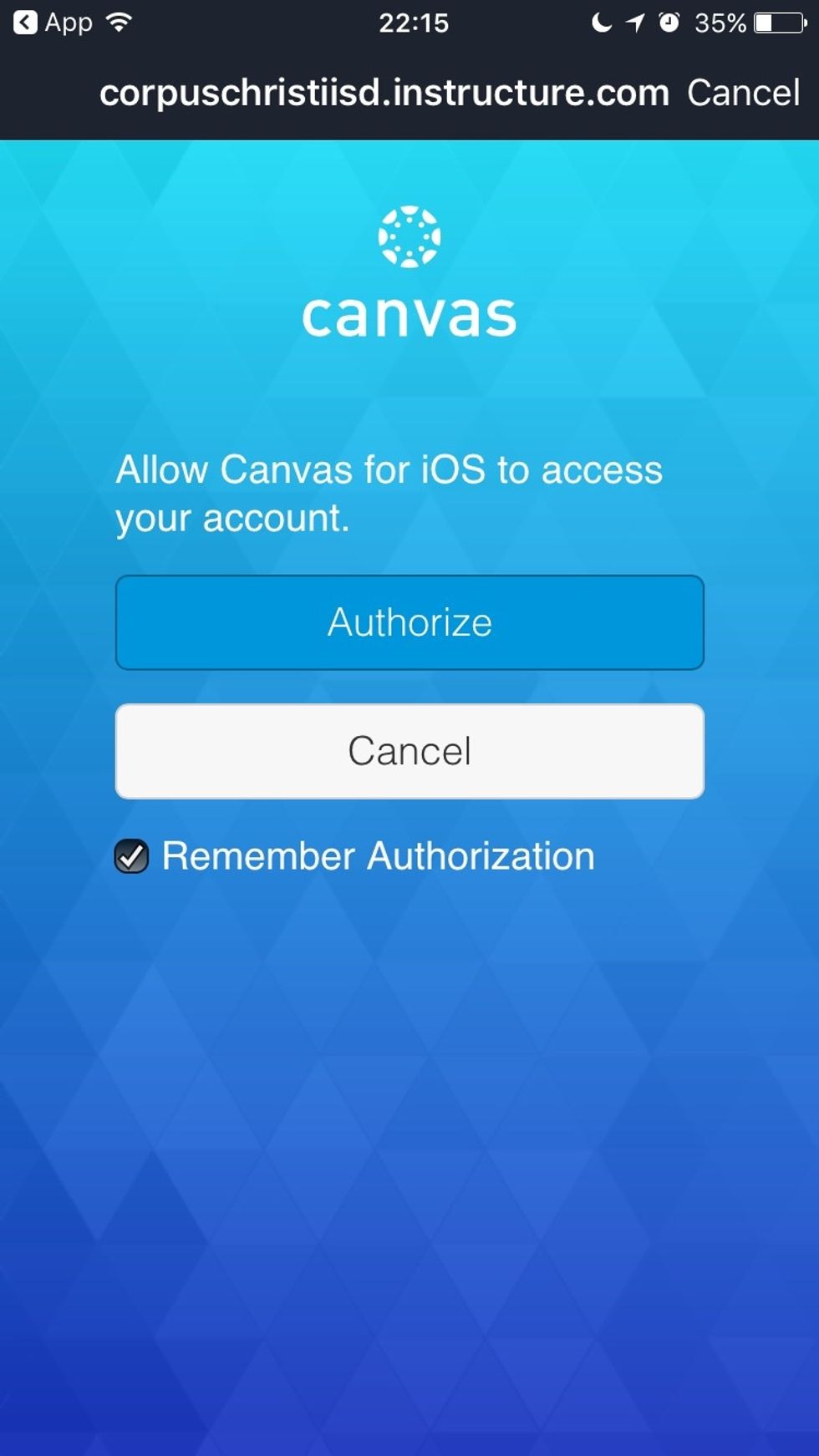 Be sure you check the box next to Remember Authorization them click Authorize above.