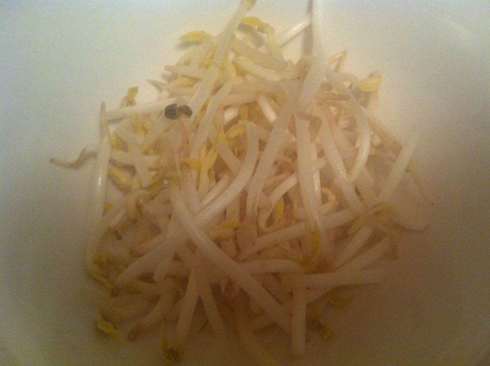 Bean sprout
