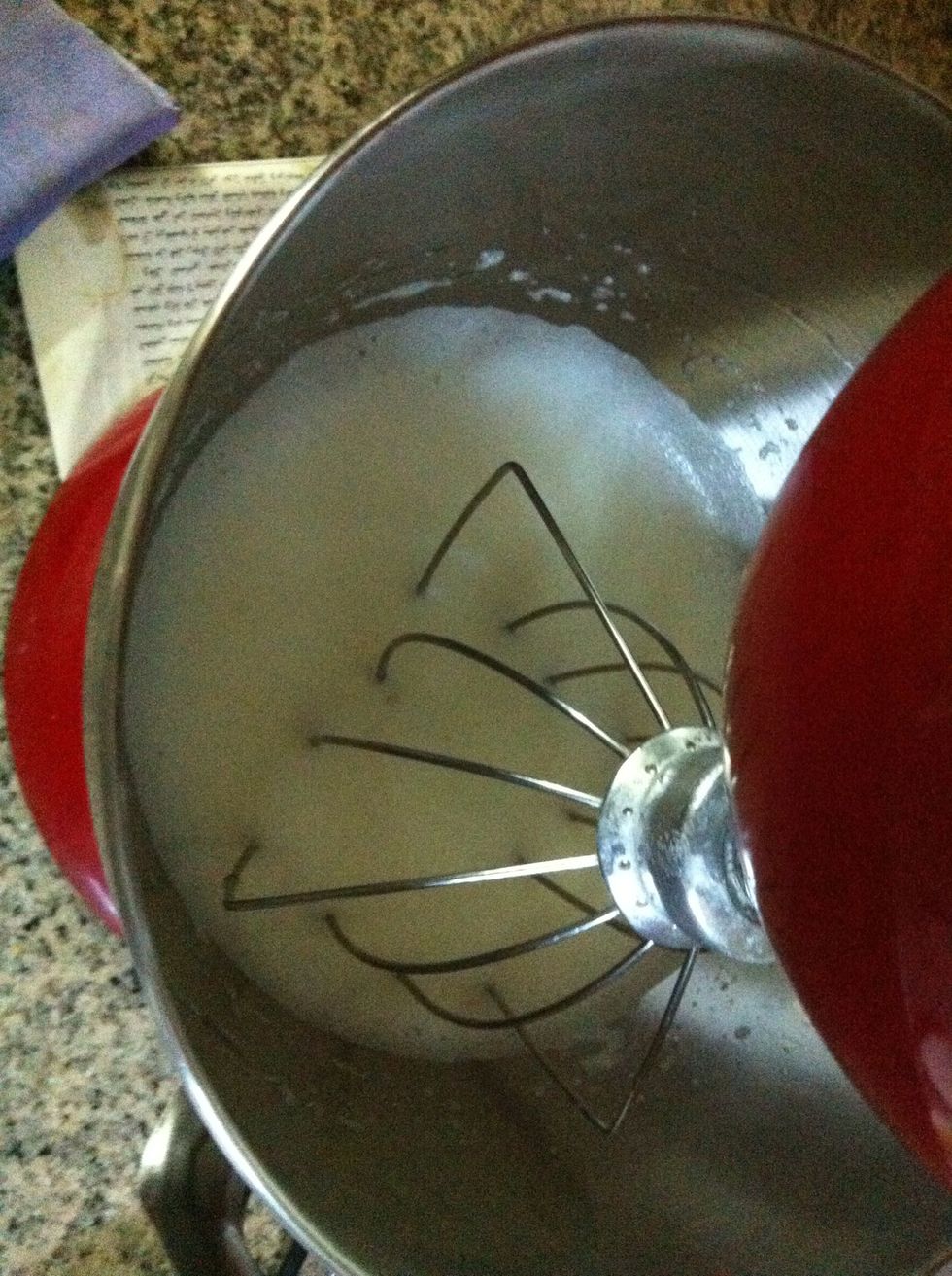 Beat on high untill very frothy, once it goes frothy, start adding the sugar very gradually.
