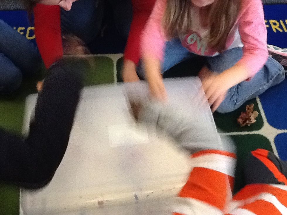 Beat the tub on the sides and the top to make a vibration. When you beat hard, they will bounce higher. When you beat soft, the marbles don't bounce that high.