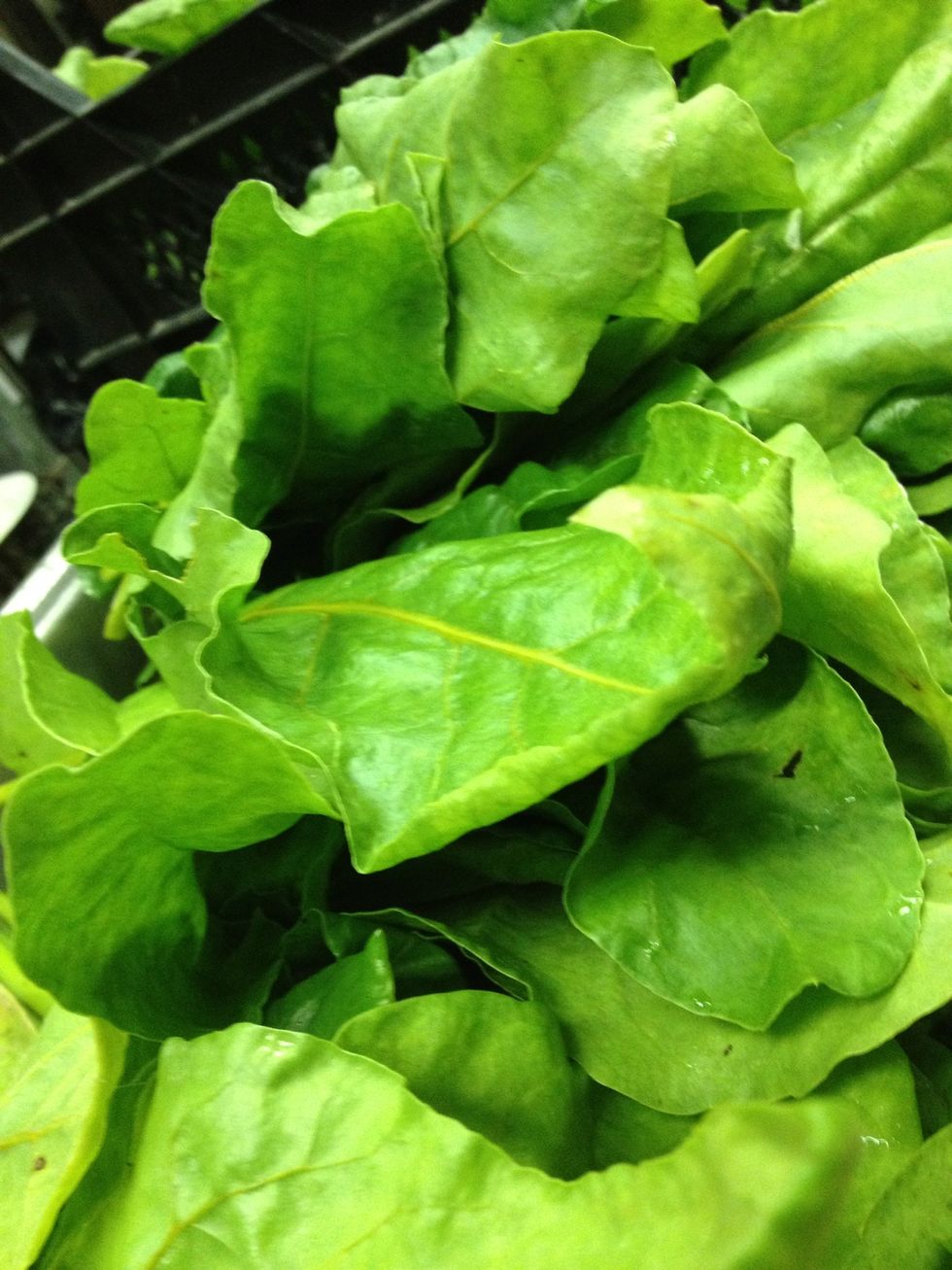 Beautiful beet greens.