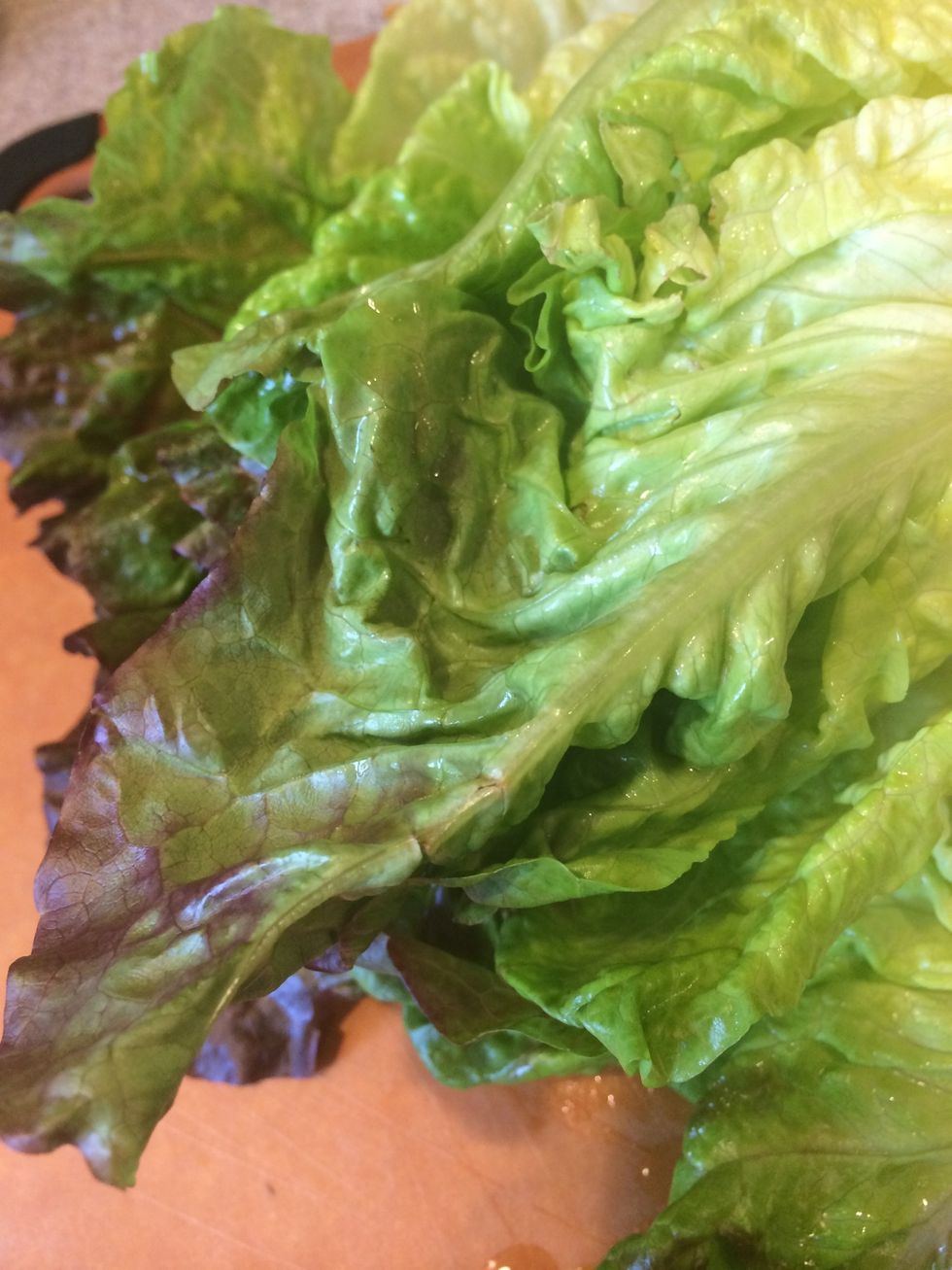 Beautiful organic lettuce from the West Side Market in Cleveland