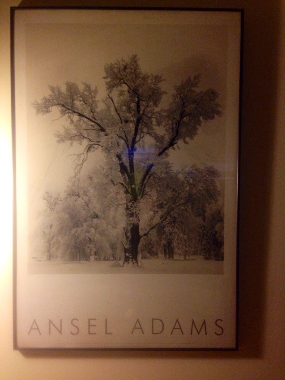 Beauty is in the eye if the beholder. Most people's interpretation of beauty is something different. Ansel Adams' photograph emulates success and beauty of a winter day (and I detest winter). Praise.