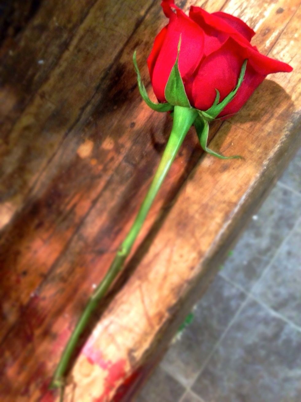 Before adding the roses to your centerpiece, make sure to strip the stem of any leaves. There will be enough greenery in the arrangement without the rose leaves. Plus, it will make arranging easier!