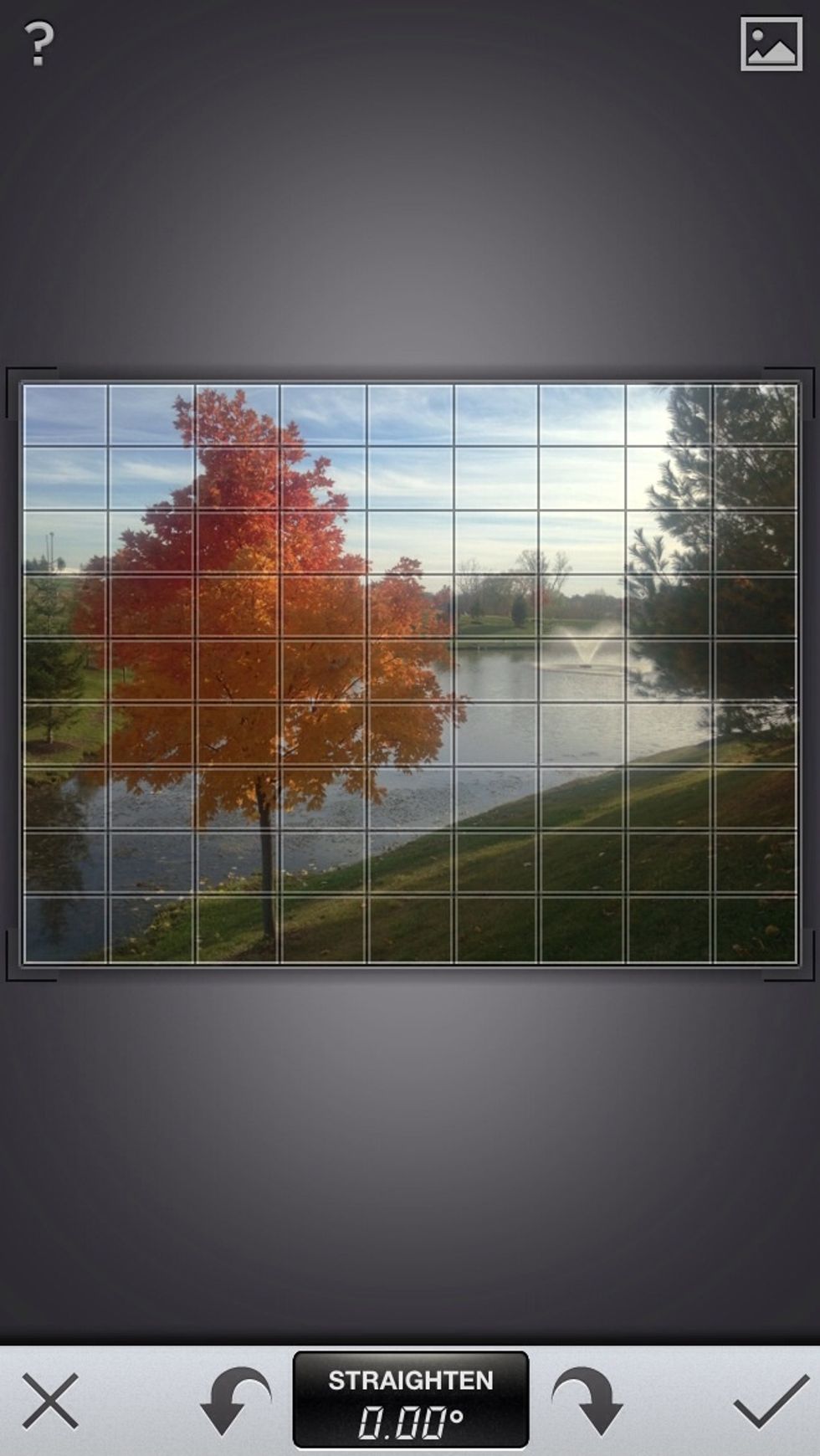 Before beginning the editing process, make sure your image is level. If not use the Straighten setting to make it level. This image is fine so we'll leave it as it is.