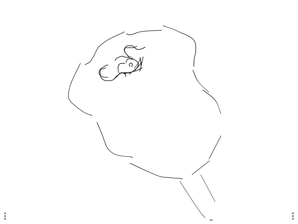 Before I proceed, I drew a rough sketch of an outline of the rose.