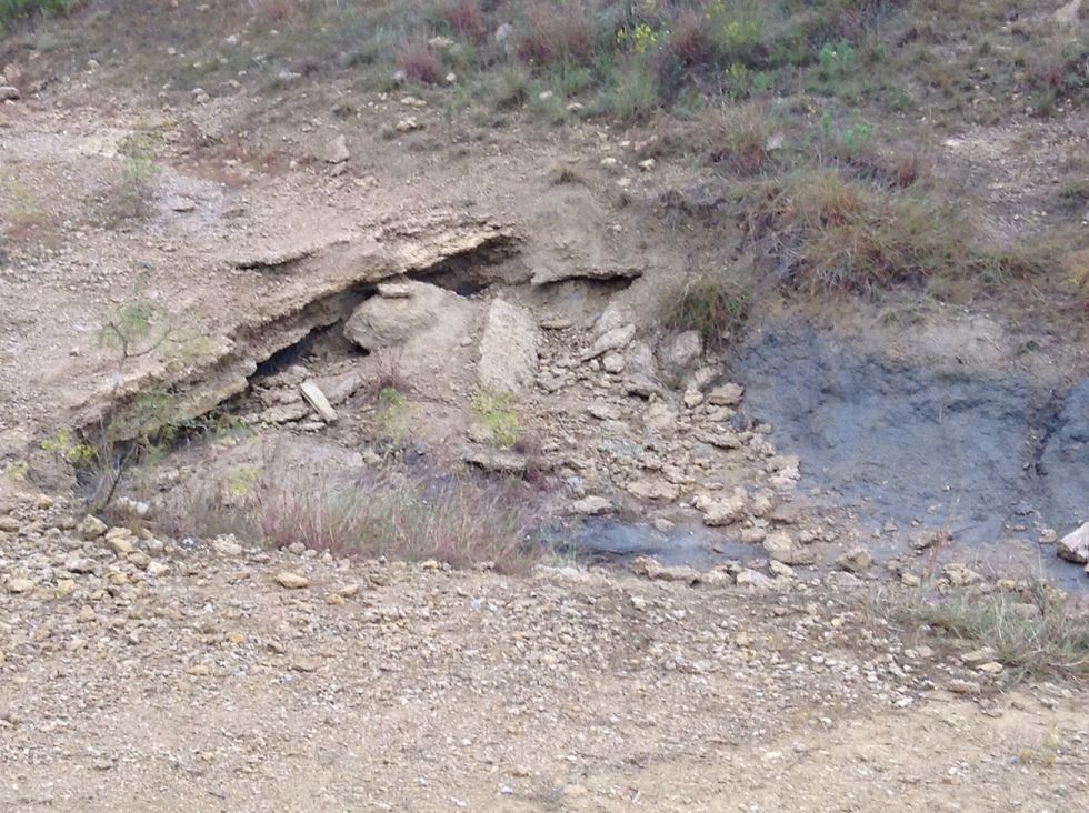 Before you board the bus, you get more instructions from your teacher/guide. Lastly, you leave. I bet you you'll think the OLC is an amazing place!