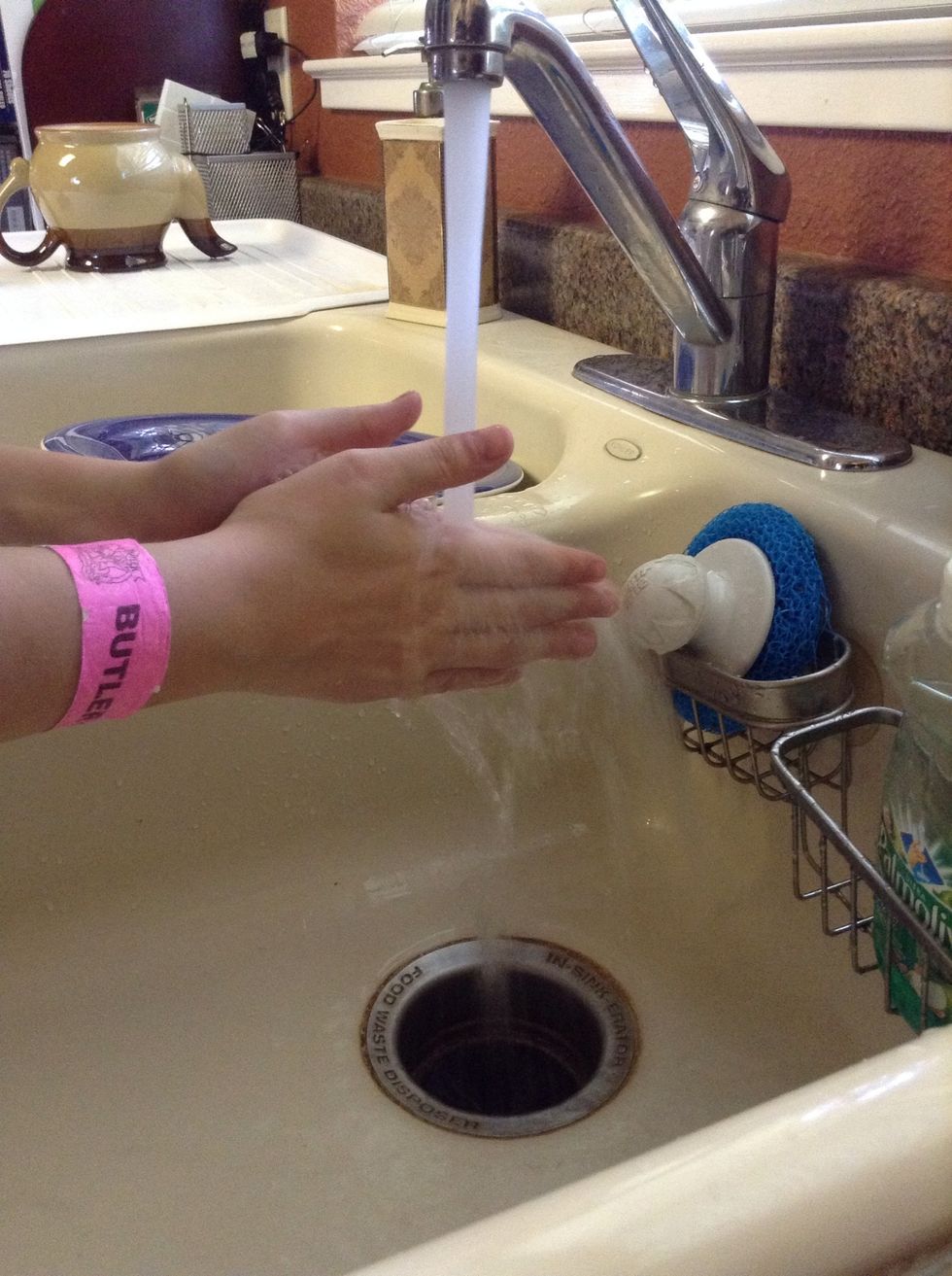 Before you do anything wash your hands!