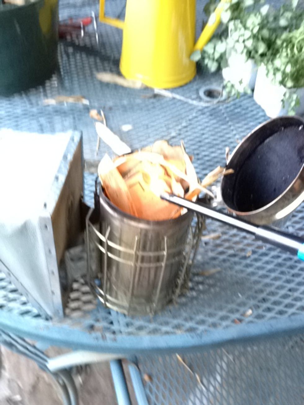 Before you install the escape board in the hive, suit up in your protective gear and get your smoker going.