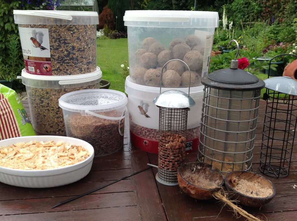 Before you wash your feeders with warm water, crush and soak your cheese biscuits, the birds love them!