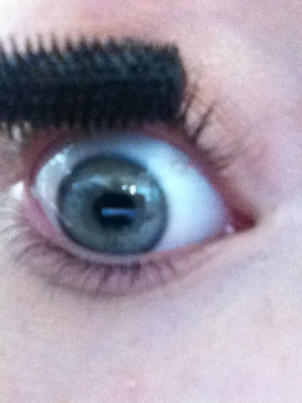 Begin at the root of your lashes
