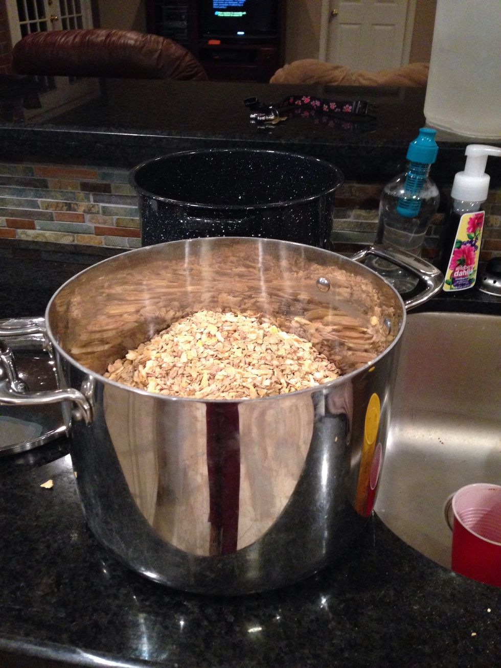 Begin By adding 1 scoop of both crimped barley and steam flaked corn into a large pot.