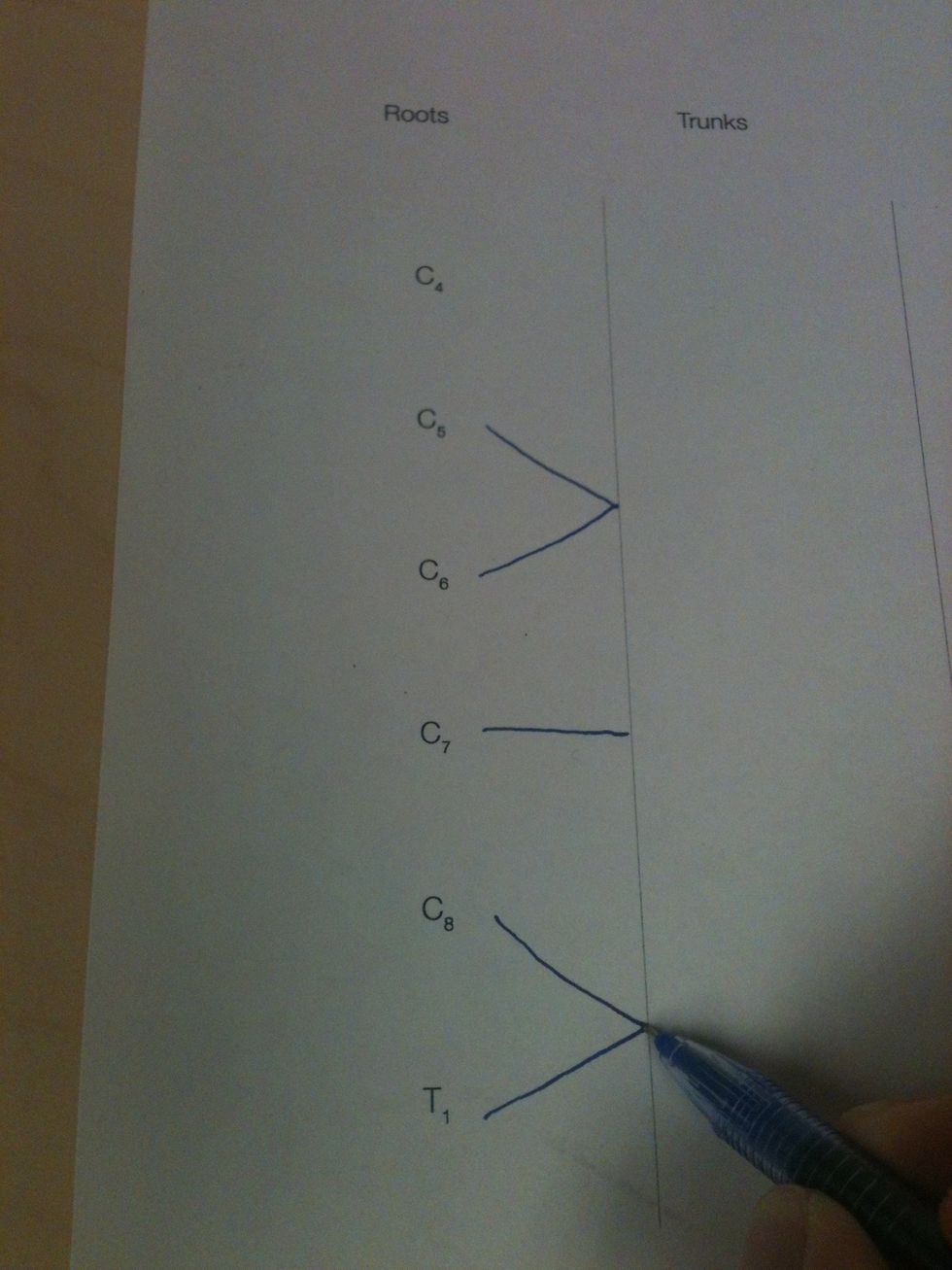 Begin by adding the roots.