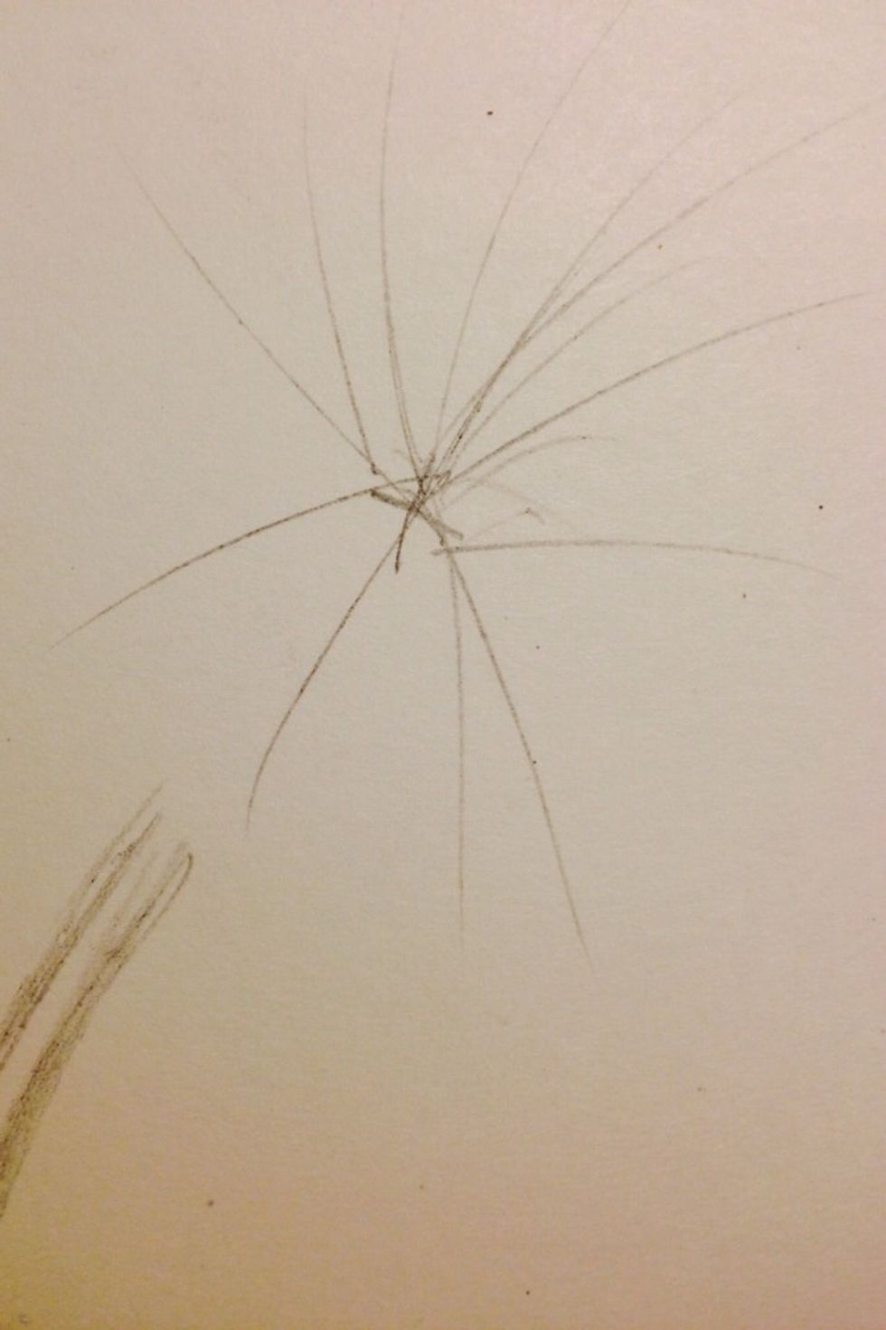 Begin by making the fuzzy part of the dandelion, do not attach the stem to it. Make a small x in the middle, where you want the fuzzy part to begin, and make straight lines coming straight out