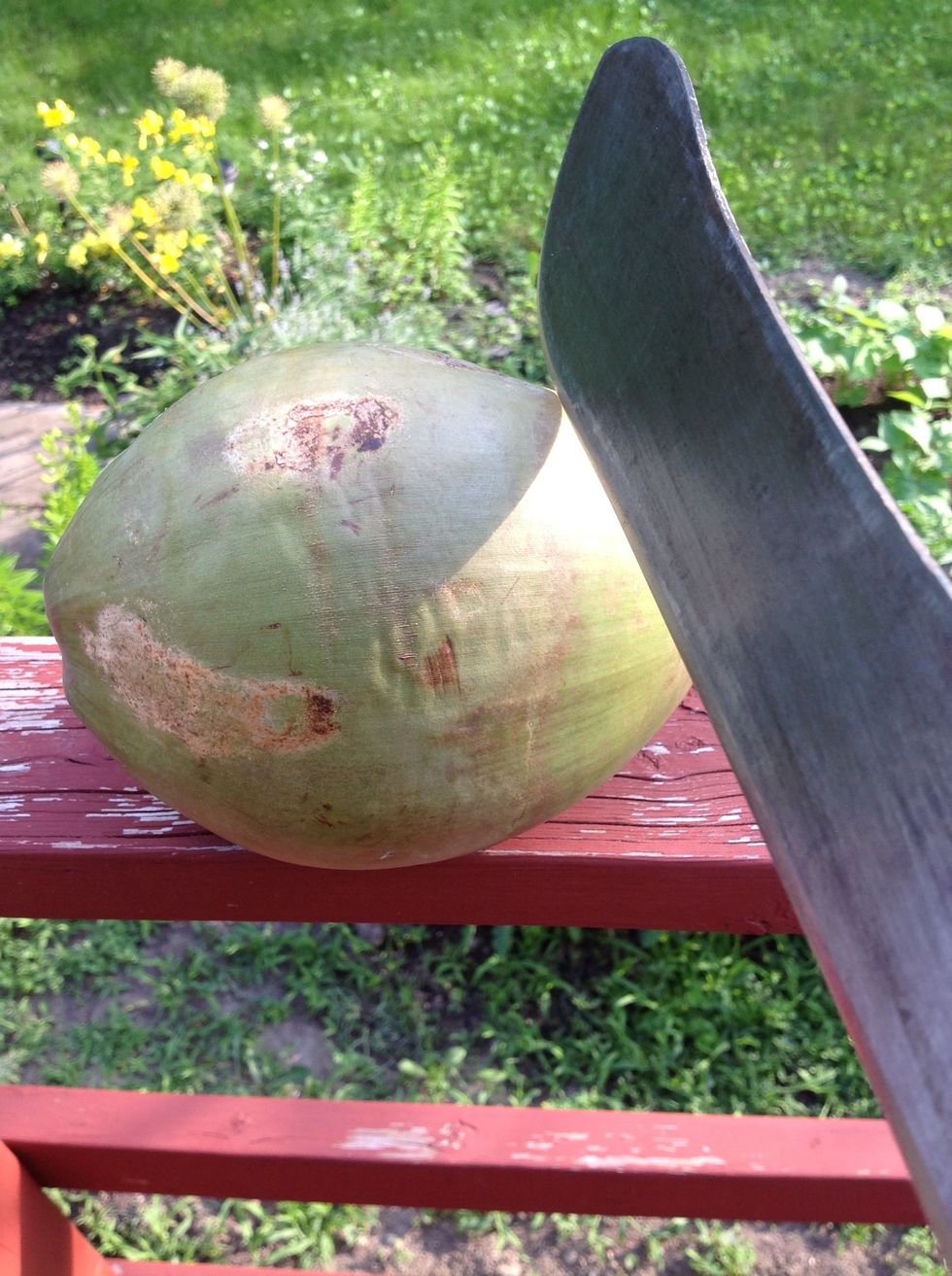 Begin cutting coconut