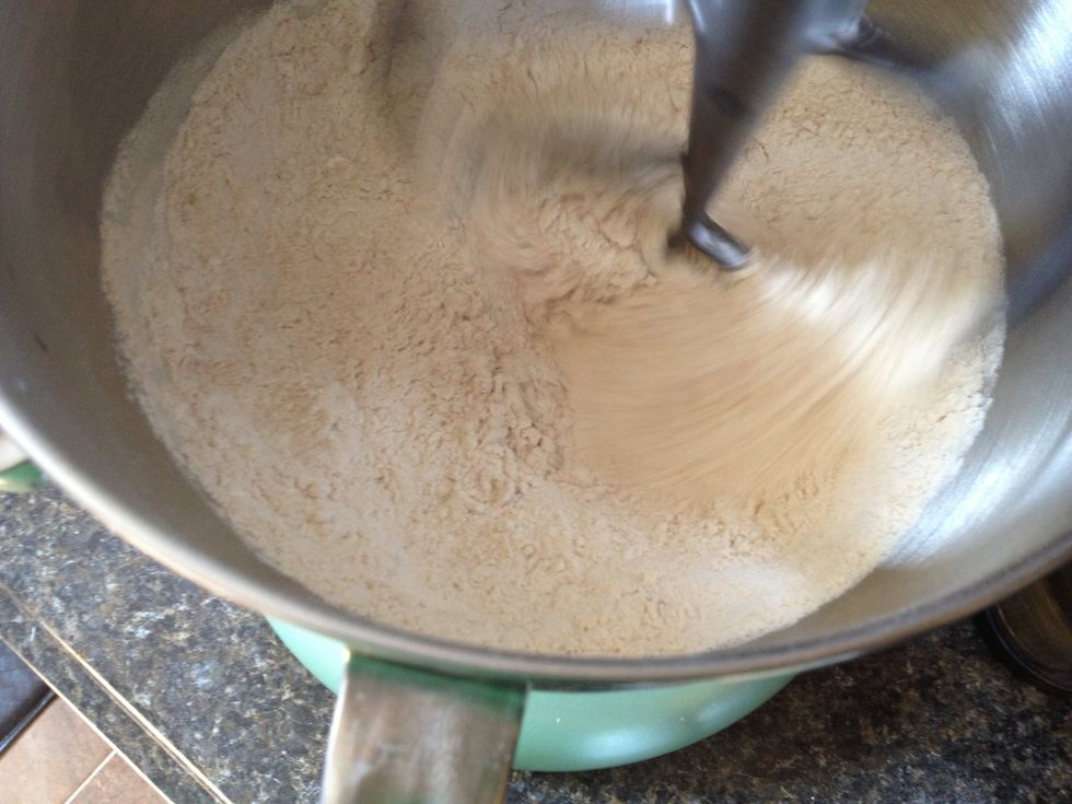 Begin mixing the dry ingredients together on low to incorporate.