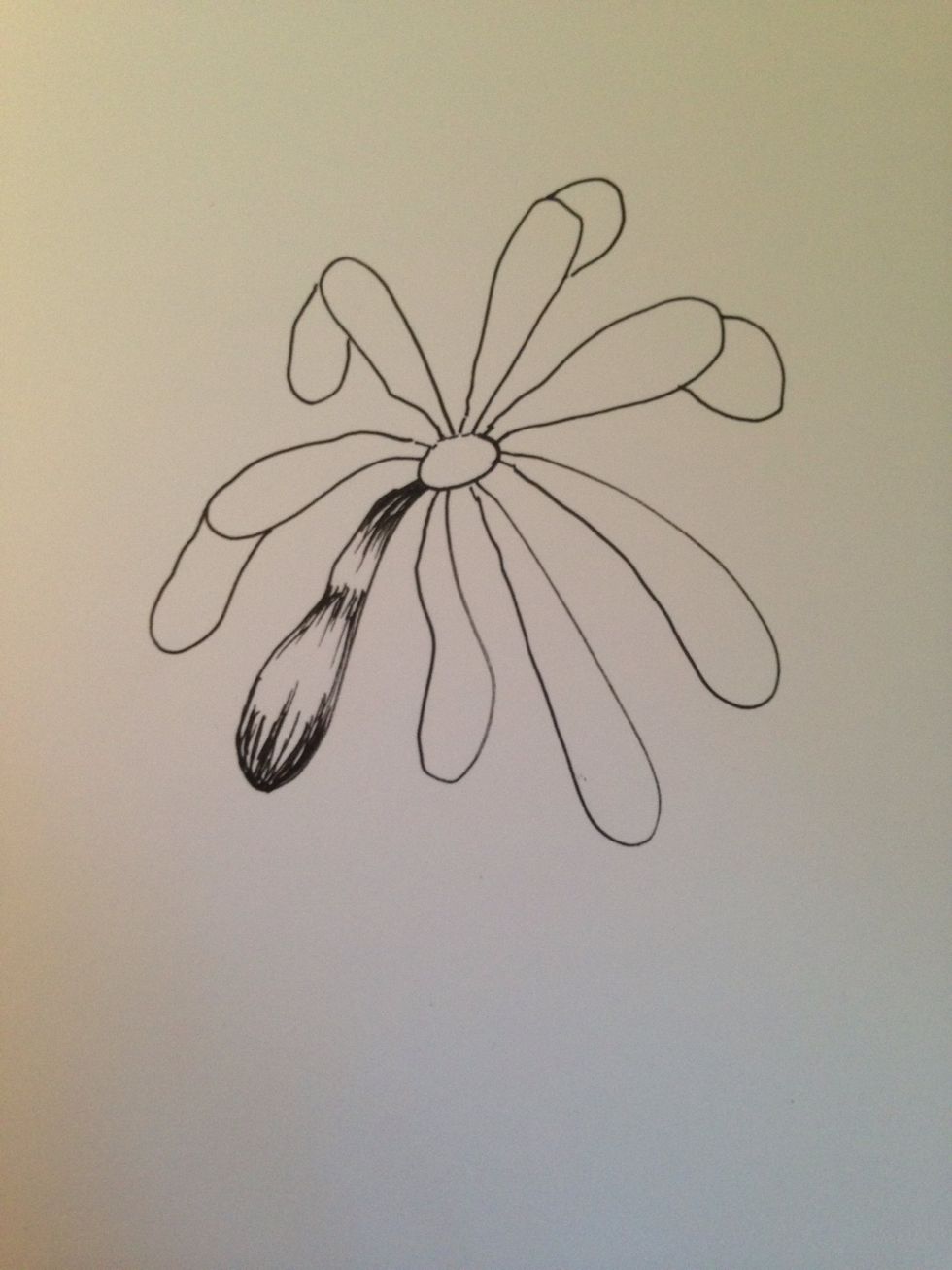 Begin shading. It is key to remember, any drawing not to be afraid of black! Your drawing will be more realistic if you use a large scale of black to white.