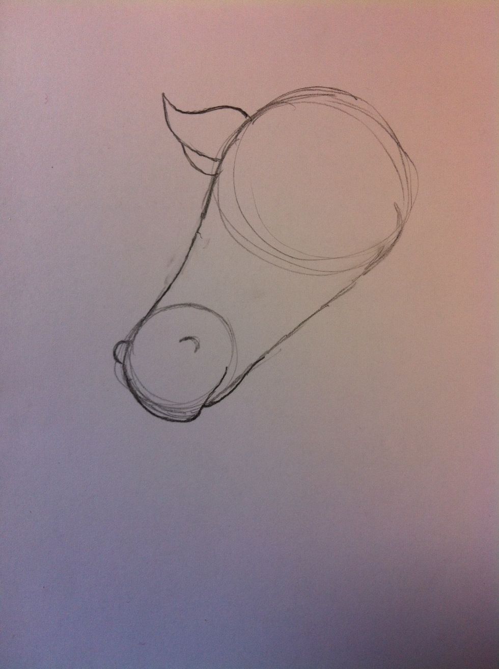 Begin to draw the ears.