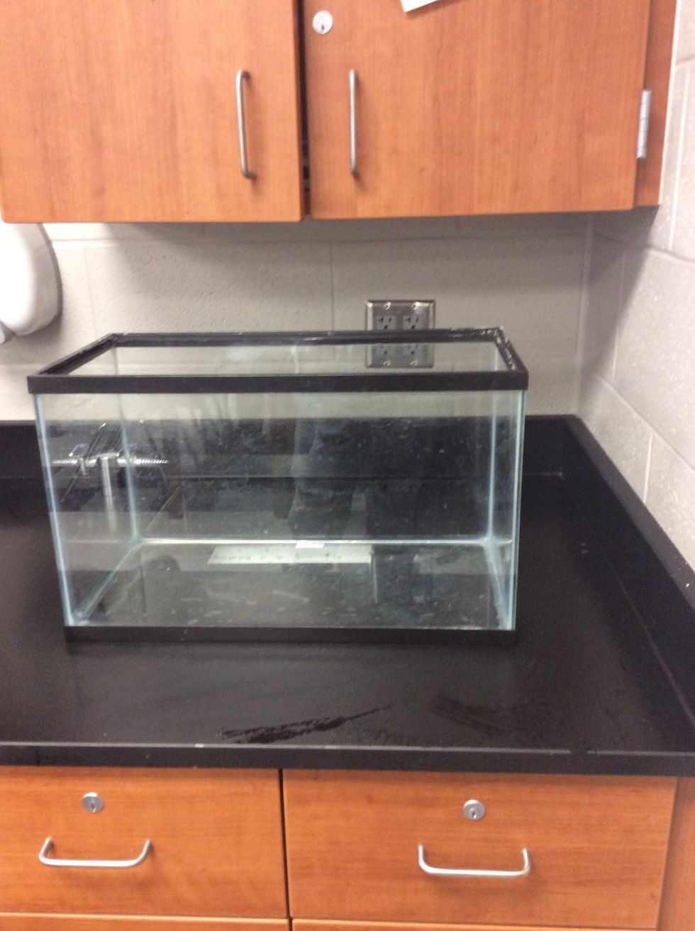 Begin with an empty and clean tank!