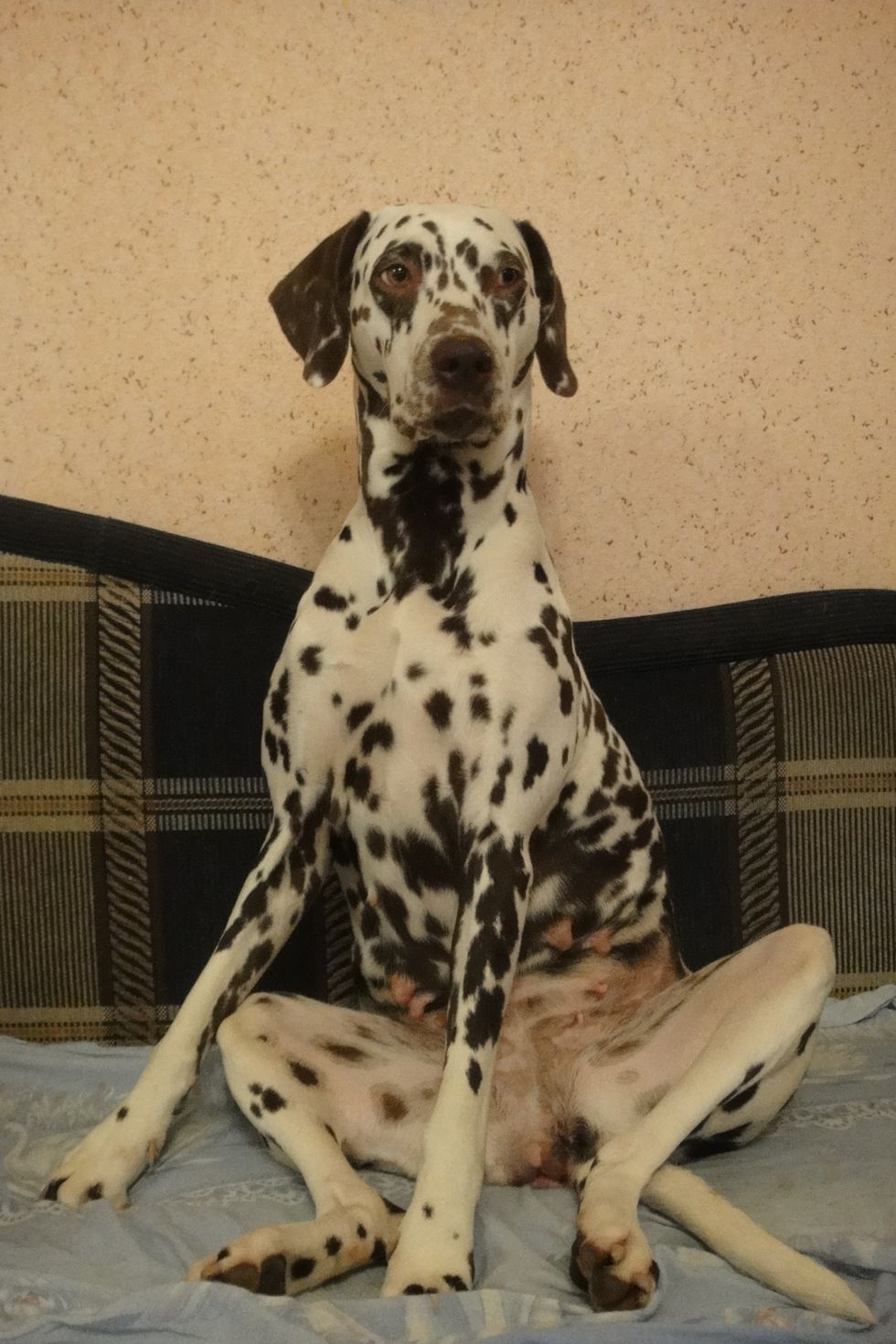 Begin with some good yoga stretching.