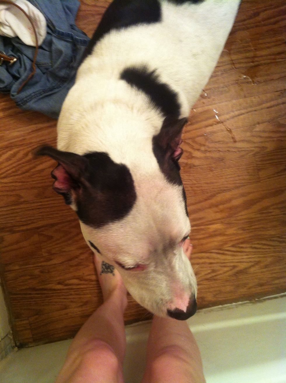 Believe it or not, she was even dirtier before we left the park. Lola loves showers so this makes the process easier. Bath time!! \ud83d\udec1\ud83d\udebf