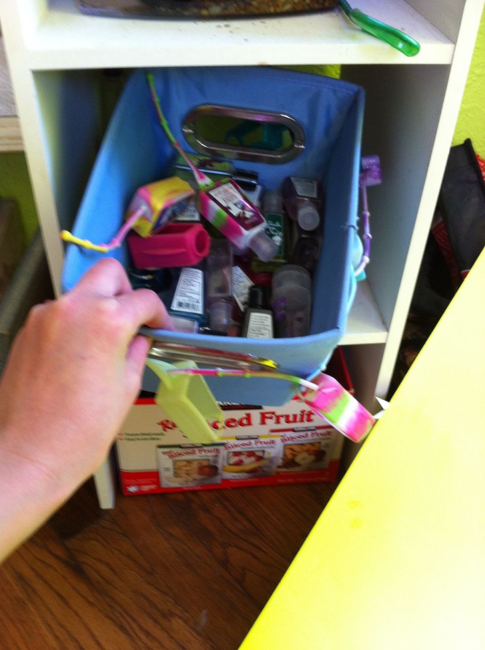 Below that, I have all my B&B hand sanitizers. And on the bottom, I have a "dried fruit" box full of dog shampoo, treats, leashes, etc. (we just got a new puppy!)