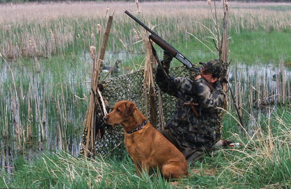 Best hunting buddies.