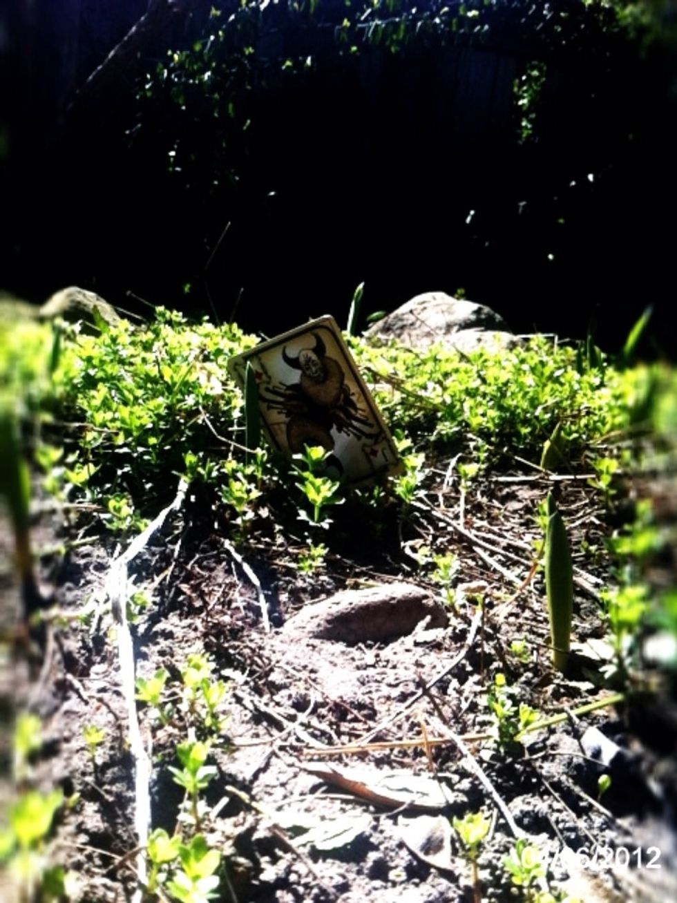 Best scenario: focus on an inanimate object, giving it life-like characteristics, but something that would be dope miniaturized. Like a garden gnome(coming soon!). Or Leggo man.