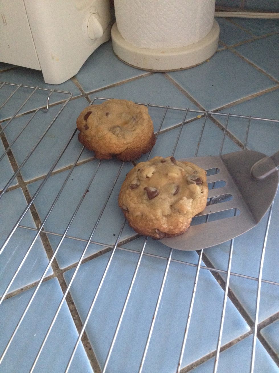 Best to transfer to a rack but if you don't have one, transfer from the cookie sheet to a plate.