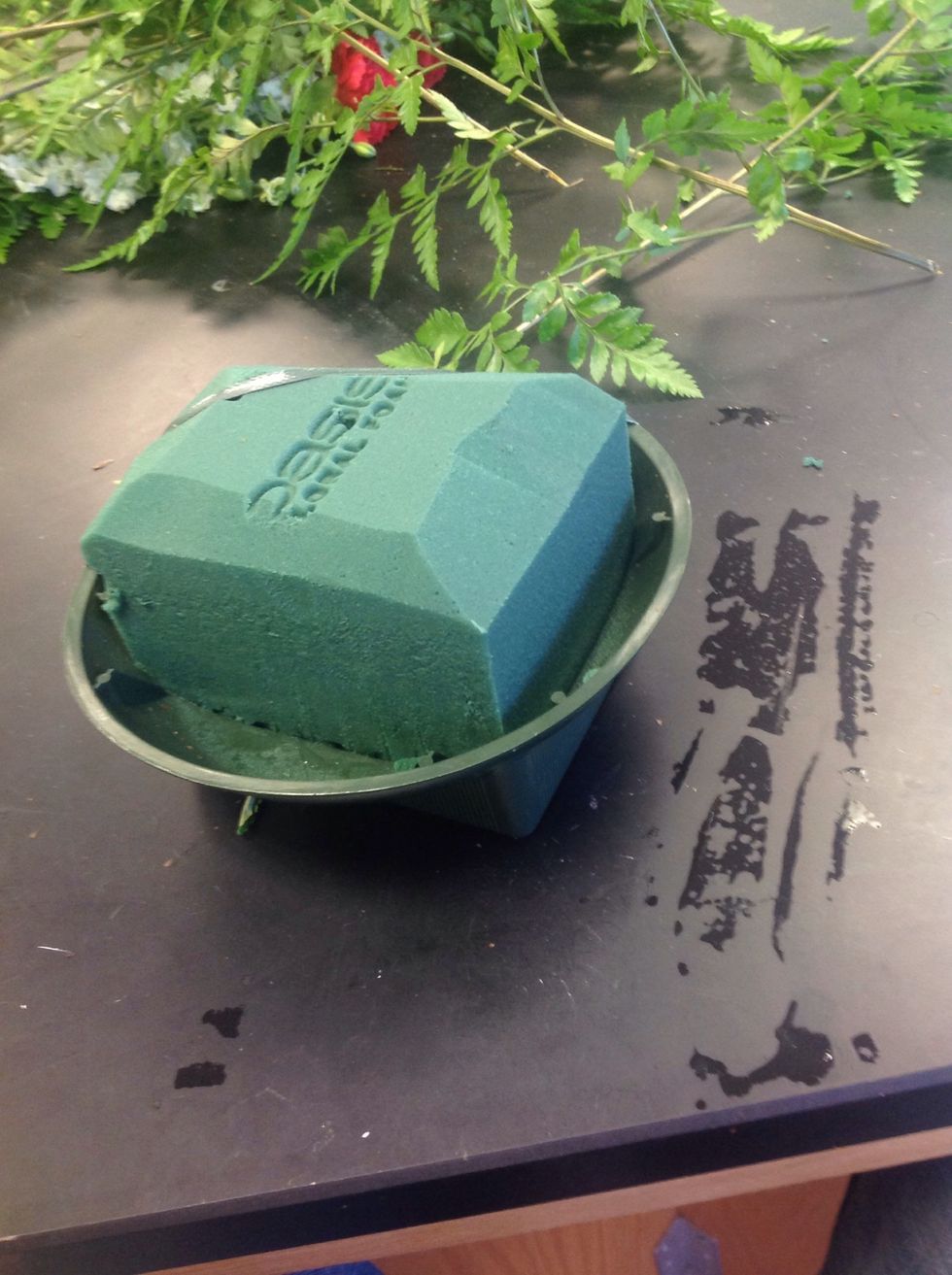 Bevel the edges and secure the oasis with the anchor tape