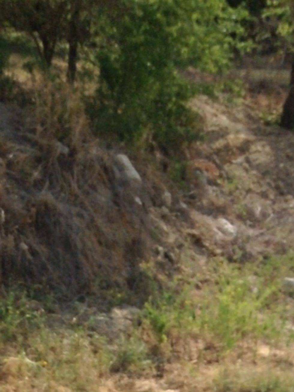 Big hill that we saw at the OLC