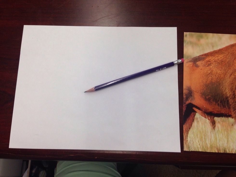 Blank paper and pencil