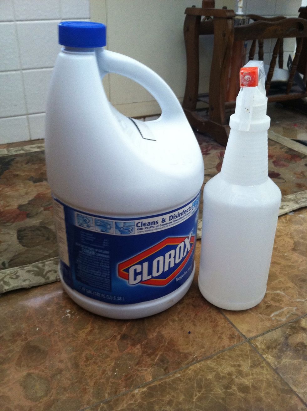 ...Bleach and a spray bottle.