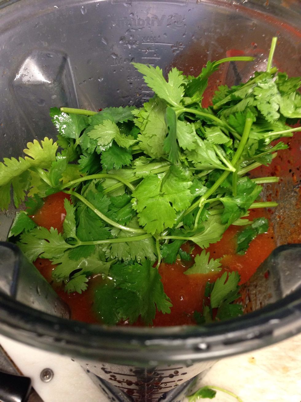 Blend the rest if the ingredients and add cilantro in it.
