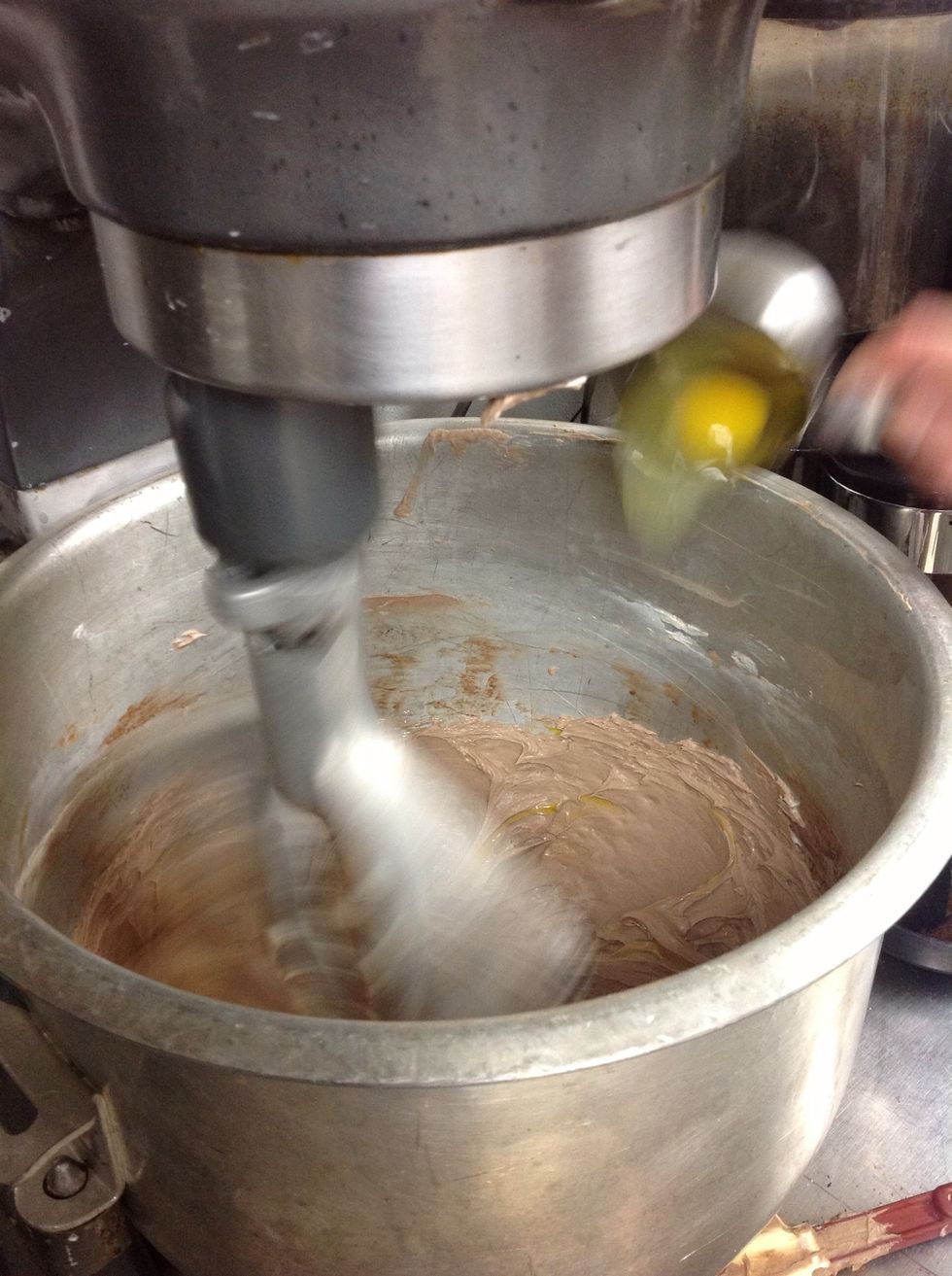 Blend until eggs have been fully incorporated.