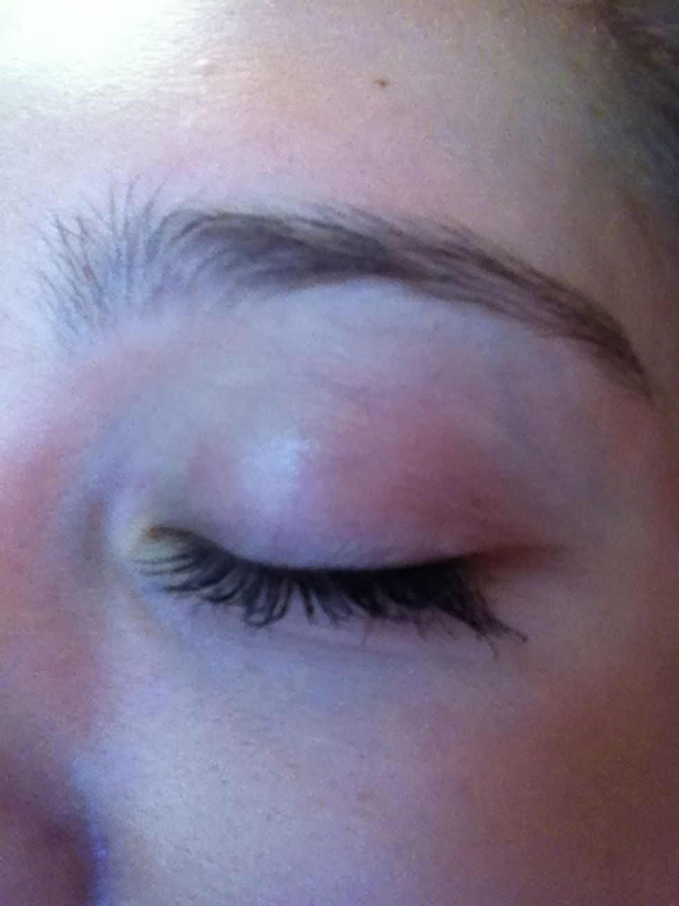 Blind in the primer nice and evenly across your lid, crease, and brow bone