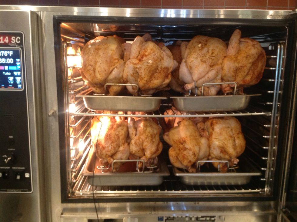 Blodgett BX-14 will accept four fully loaded Blodgett Rotisserie Rack system. With a total of thirty two birds. Be sure to keep the breast pointing out.