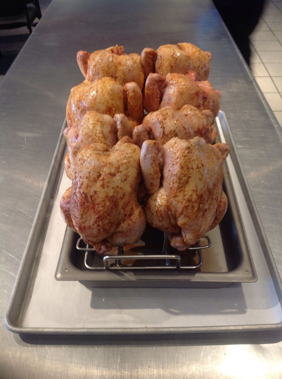 How to cook rotisserie chicken in blodgett combi B+C Guides